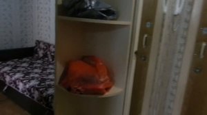 Аренда 1 комн. квартиры