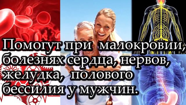 Каждый человек обязан это знать! смотреть онлайн