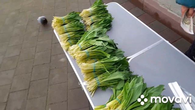 И всётаки добро должно быть с кулаками👊✊ смотреть онлайн