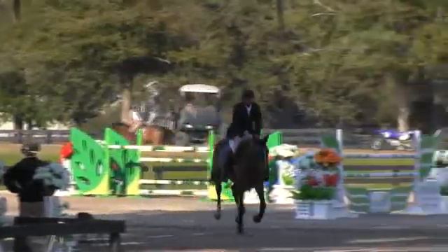 Goran & Fabian Ordonez - $1000 Amateur-Owner Jumper Medium смотреть онлайн