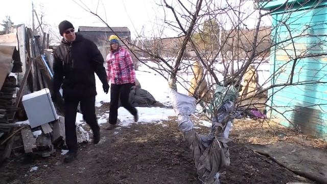 Устаревшие предметы интерьера защитят растения от межсезонья смотреть онлайн