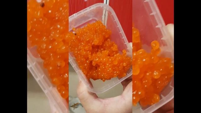 Фотография Пейзажей