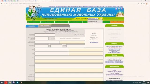 Чип для собаки: за и против. Регистрация йоркширского терьера в базе данных чипированных животных смотреть онлайн