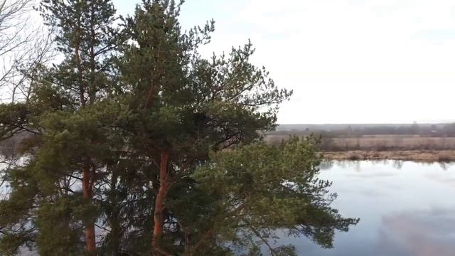 д. Манновка DOW плита со всеми коммуникациями смотреть онлайн