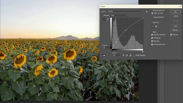 Making Your Photos Pop смотреть онлайн