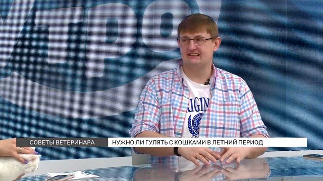 Нужно ли гулять с кошками летом? смотреть онлайн