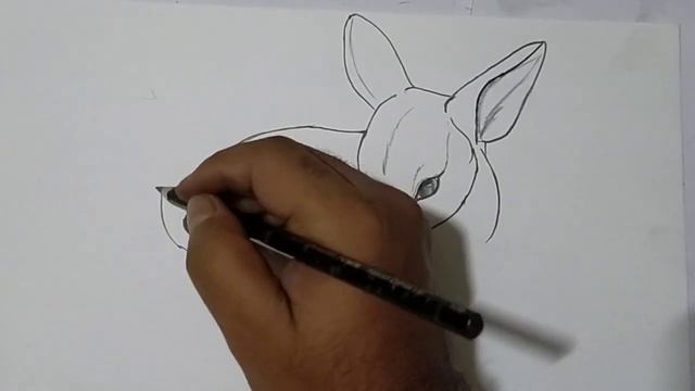 pencil drawing of Baby deer || simple deer drawing смотреть онлайн