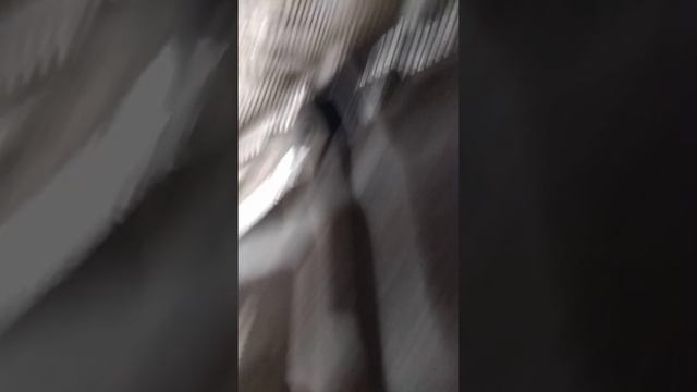 Проблем люфта тяги КПП, проблема включения передачи VW passat b5 часть 1 смотреть онлайн