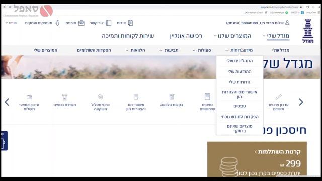 Мигдаль. Как получить годовые и квартальные отчеты смотреть онлайн