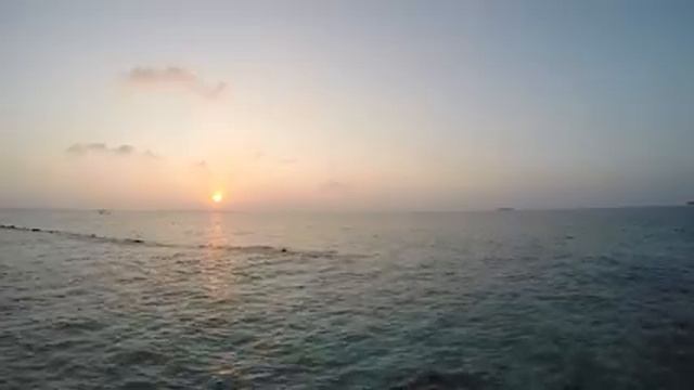 H.I. #57: Podcasters React смотреть онлайн