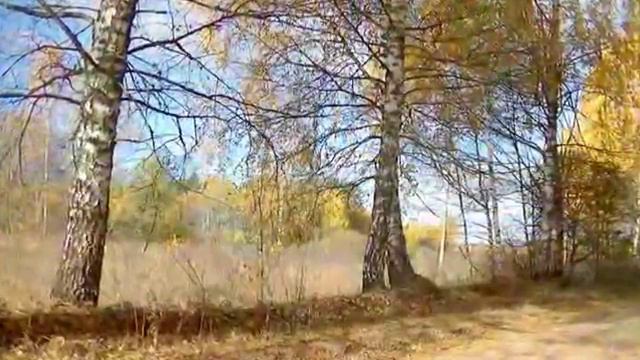 Белая берёза смотреть онлайн