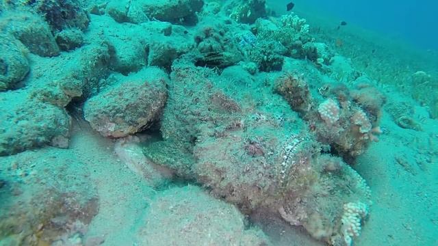 Дайвинг в Дахабе / GoPro 3+ / Сравнительный тест света под водой / 4 лампы смотреть онлайн