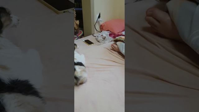 Самый необычный будильник, чтобы вставать рано смотреть онлайн