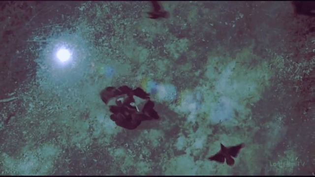 АВЕ ГЕКАТА.... смотреть онлайн