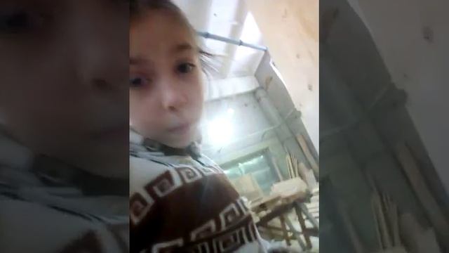 Делаем витрину для шиншиллы 1 часть . #витрина смотреть онлайн
