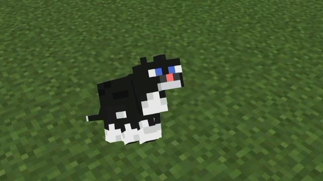 Maxwellcat с котом из майнкрафта 10 минут
