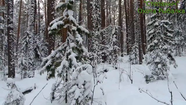 6 заезд Большой круг Разговоры и Тишина (2 часть) 30 11 22 смотреть онлайн