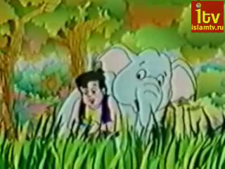 Приключения Салама смотреть онлайн