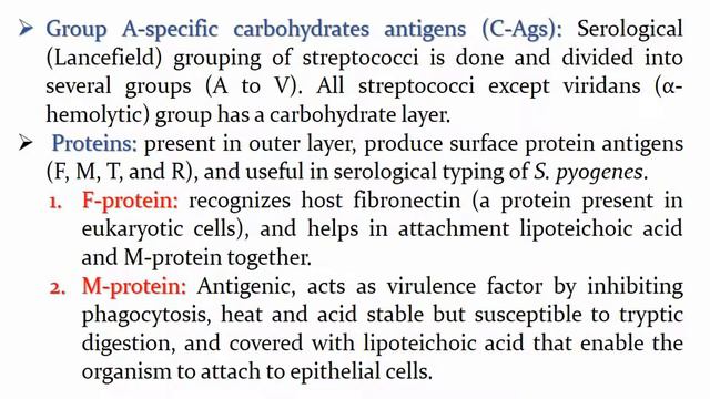 Streptococcus pyogenes: Characteristics, Classification, Antigenic structure, Toxins & Enzymes смотреть онлайн