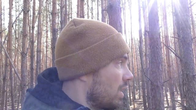 БОРОВИКИ ПІШЛИ ПІСЛЯ ДОЩУ В СОСНЯКУ ТА БЕРЕЗНЯКУ! смотреть онлайн