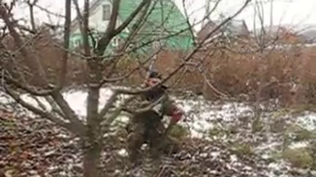 Зимняя обрезка деревьев смотреть онлайн