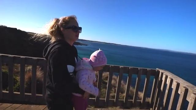 Австралия. Есть ли на Филип Айленде киты? Мертвый кенгуру. Ехидна. смотреть онлайн