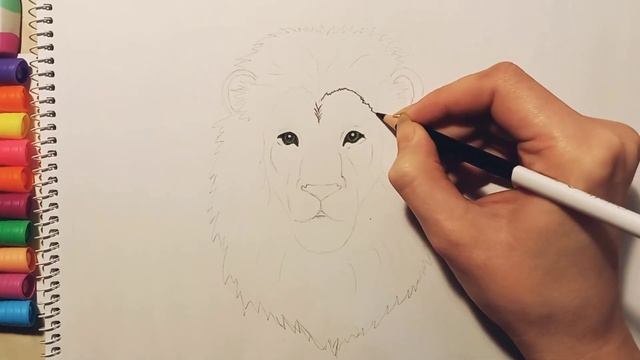 как нарисовать льва | рисунок льва смотреть онлайн