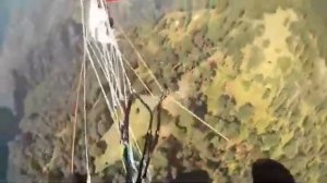 Жив, цел, орёл!