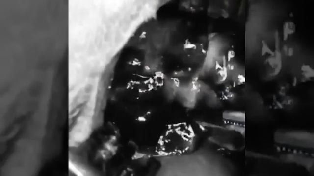 Спасение котенка со стрелой в сердце смотреть онлайн