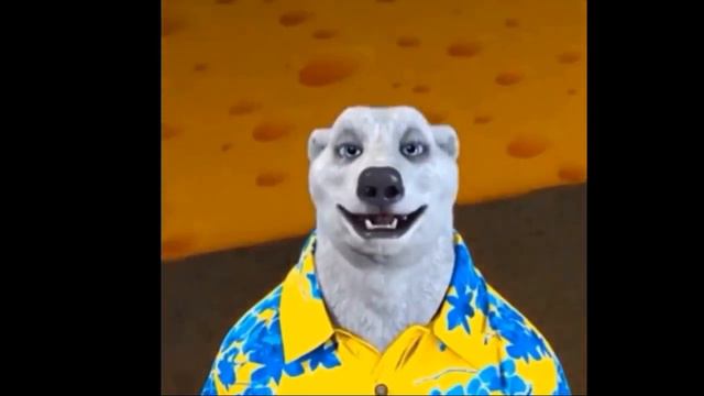 НОВОЕ СООБЩЕНИЕ ОТ ХОДИЛКИ БРОДИЛКИ , МЫ УМРЁМ 30 НОЯБРЯ! смотреть онлайн
