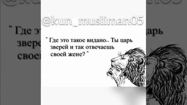 Мудрый разговор льва и быка ☝? смотреть онлайн