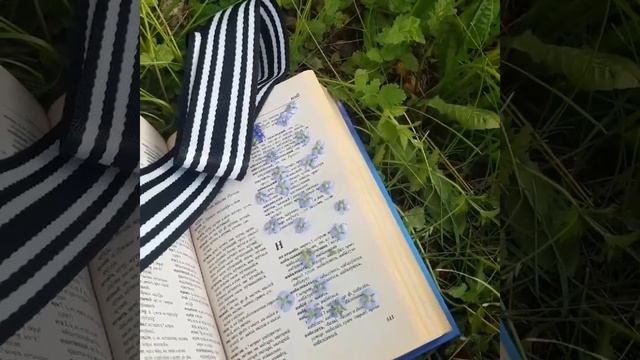 Любуемся Вероникой Дубравной, ее голубыми цветочками/Высушила цветочки под прессом/Спешите увидеть смотреть онлайн
