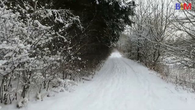 #338 Зимняя сказка. Город Эссинг/ НЕ поздние переселенцы смотреть онлайн