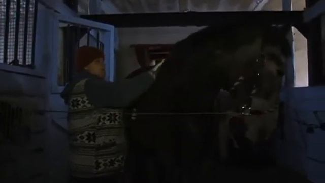 Лошадь на счастье смотреть онлайн