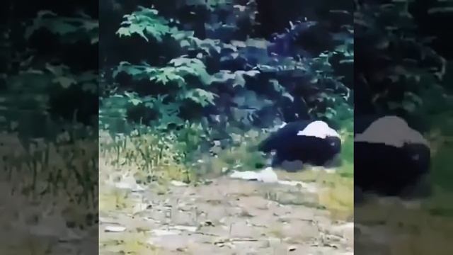 Кто ходит в гости по утрам тот поступает мудро смотреть онлайн