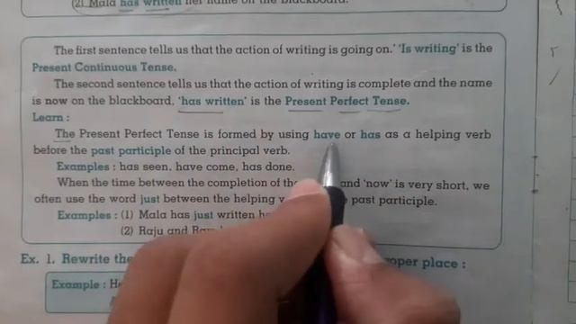 English Grammar Class 4th | 11. Present perfect tense смотреть онлайн