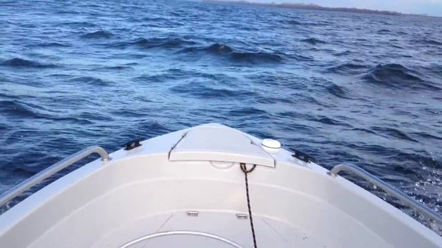 Бестер - 480 против буйной Камы смотреть онлайн