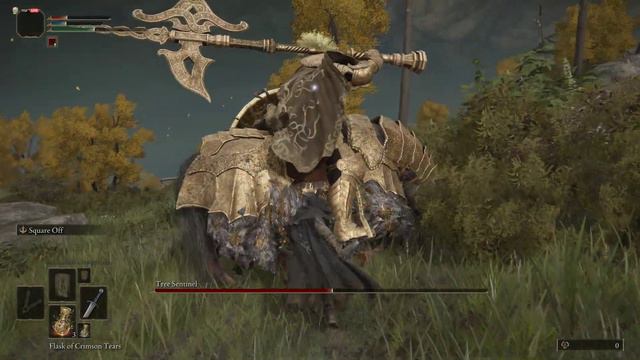 How to defeat the tree sentinel as confessor in Elden Ring смотреть онлайн