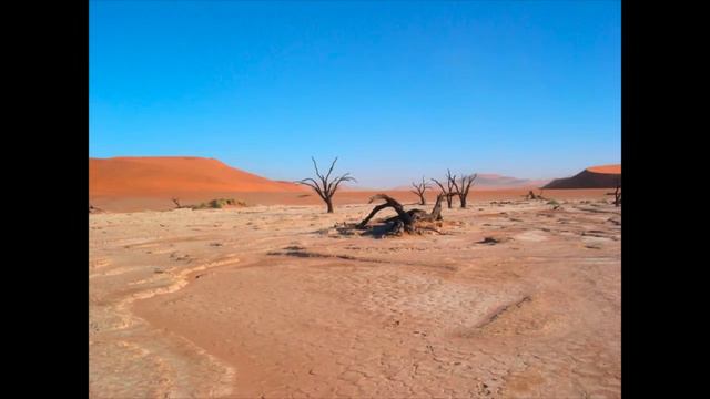 Psychill Set 5 RELAX MAX  (VEVAL)