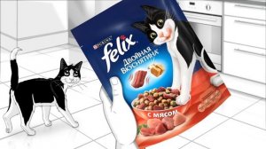 Участвуйте в Кубке Феликса!
