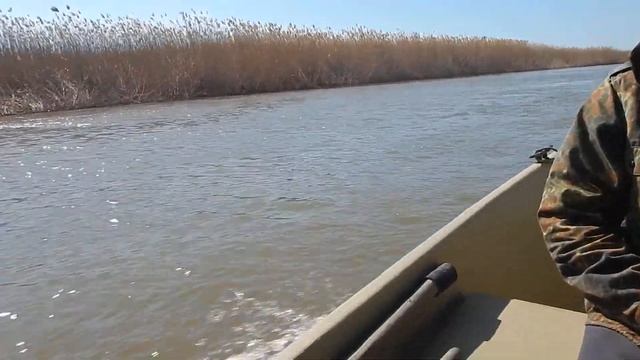 Бударка Серый на проспекте смотреть онлайн