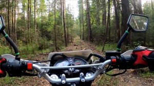 RACER PANTHER 250 // Прокатился по лесу // Проба 4К