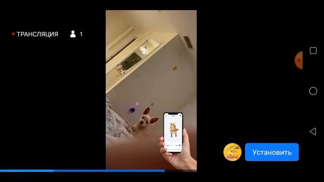 Моя трансляция в XRecorder смотреть онлайн
