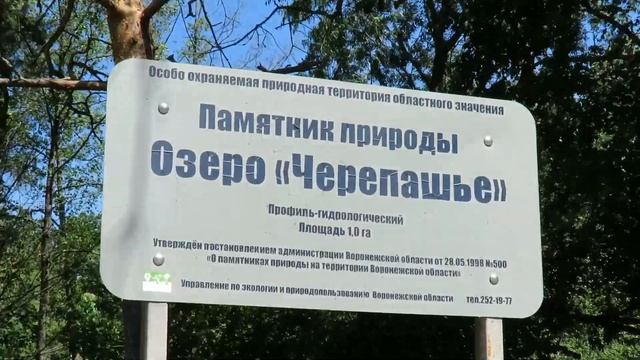 Воронеж и его окрестности Рыбалка и около неё смотреть онлайн