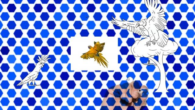 Animal notebook jotter sketch смотреть онлайн