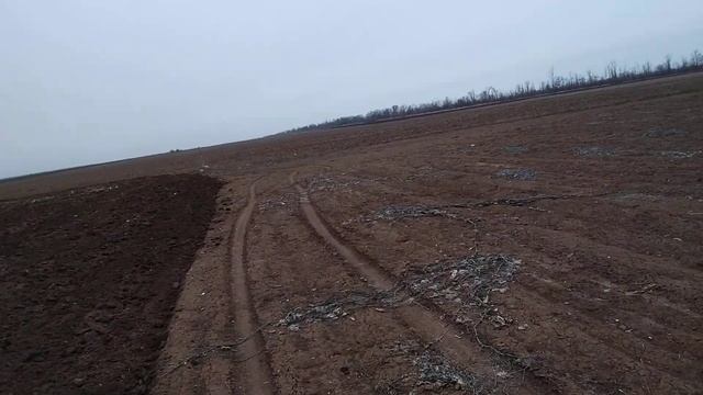 Пшеница или лён, что посеять после арбузов и овощей? смотреть онлайн