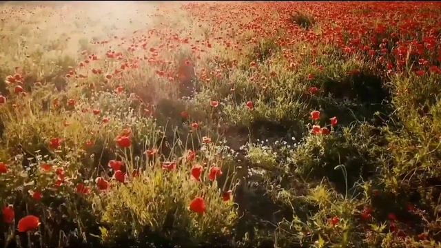 Семья.... Стихи для души и от души смотреть онлайн