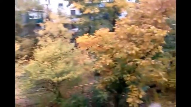 ПОГОДА в Краснодаре_17 октября смотреть онлайн