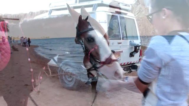 Arina Tishchenko - Dahab, South Sinai, Egypt 2016 смотреть онлайн