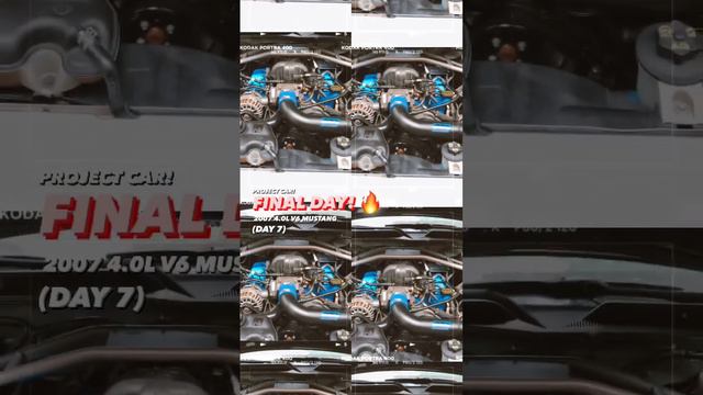 LAST DAY🔥#S197Mustang #5thGenMustang #FordMustang #Mustang #AutomotiveRestoration #AutomotiveDetail смотреть онлайн